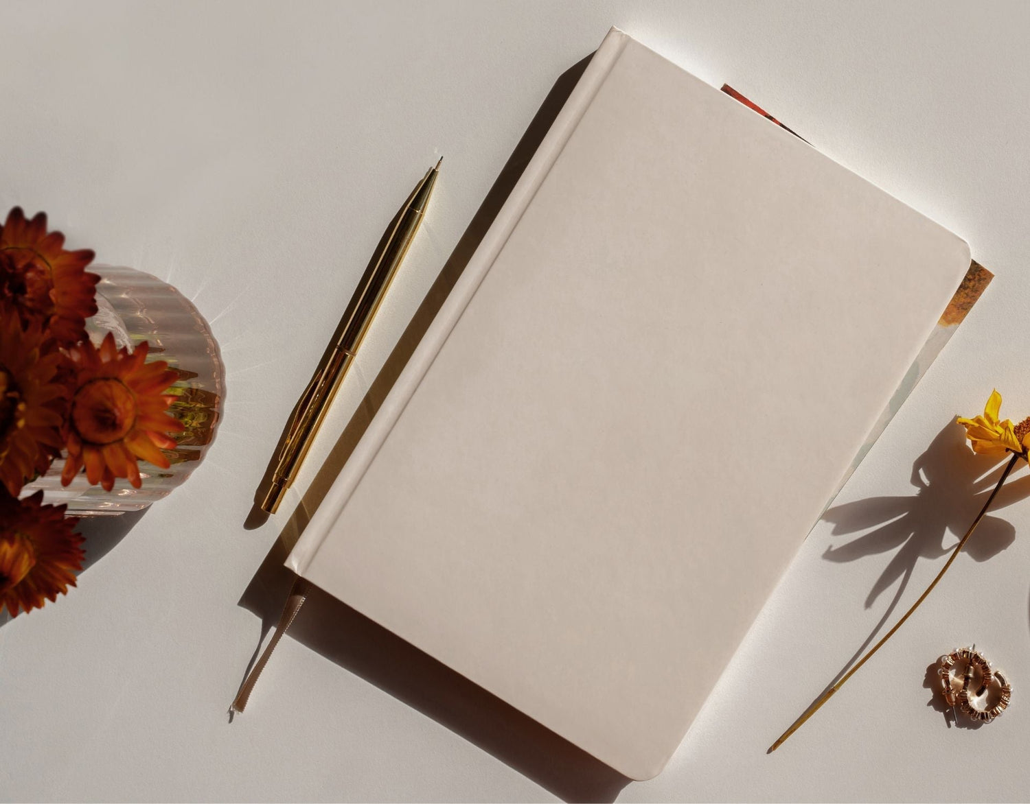 When Mindfulness Meets Optimism: Respin Your Mindset and Thrive Through Menopause
