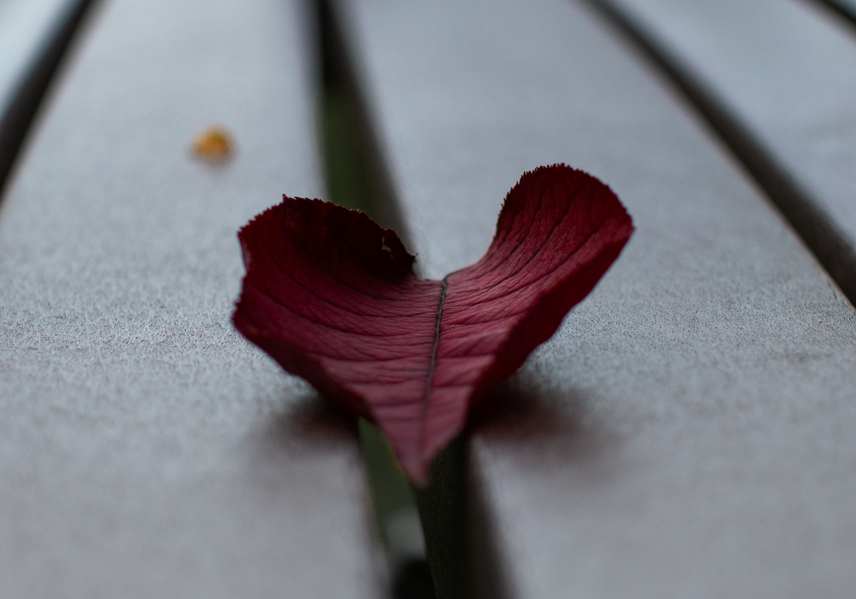 How Menopause Impacts Heart Health—and What You Can Do About It
